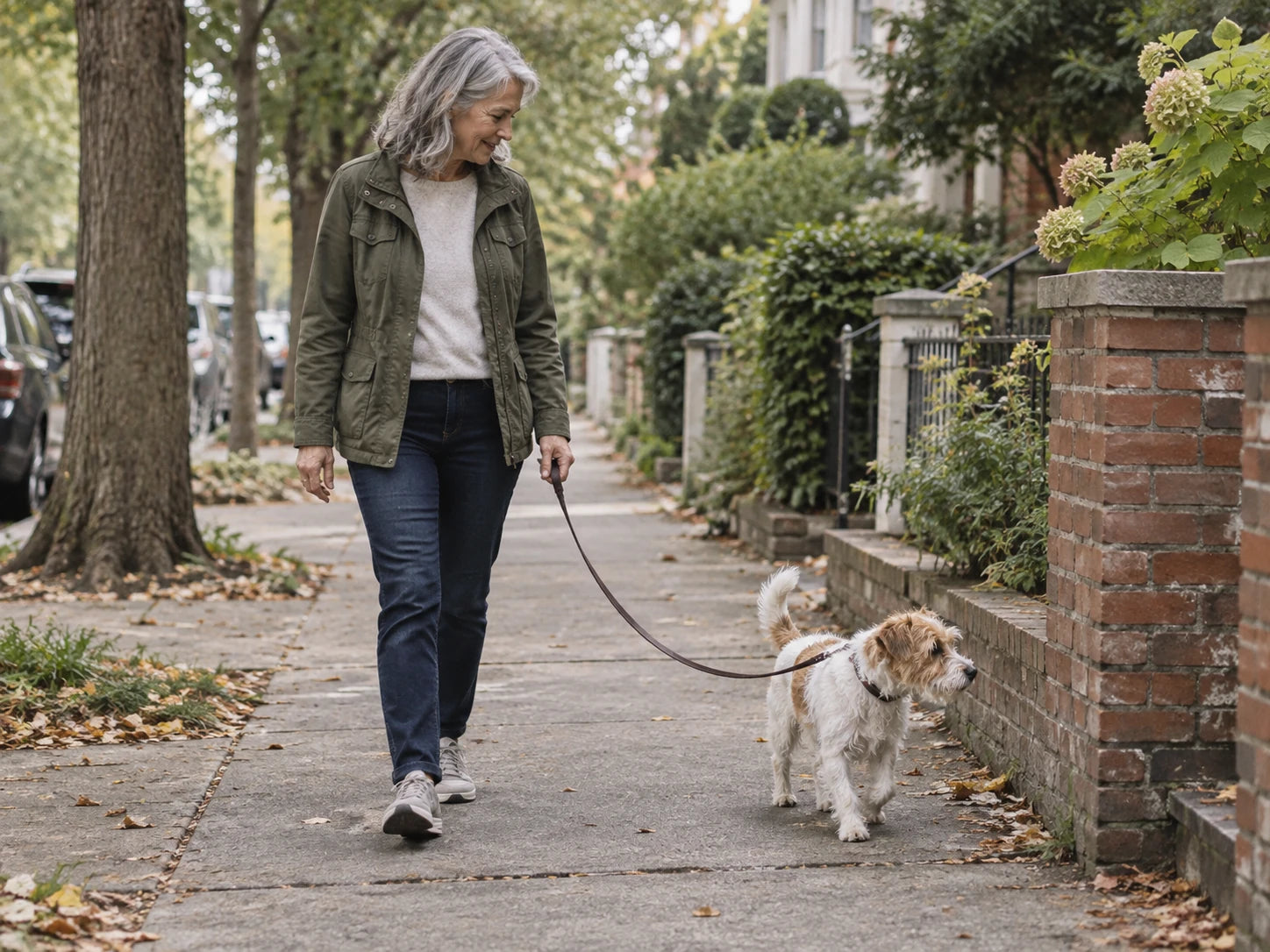 A mature woman walking her dog in her neighborhood