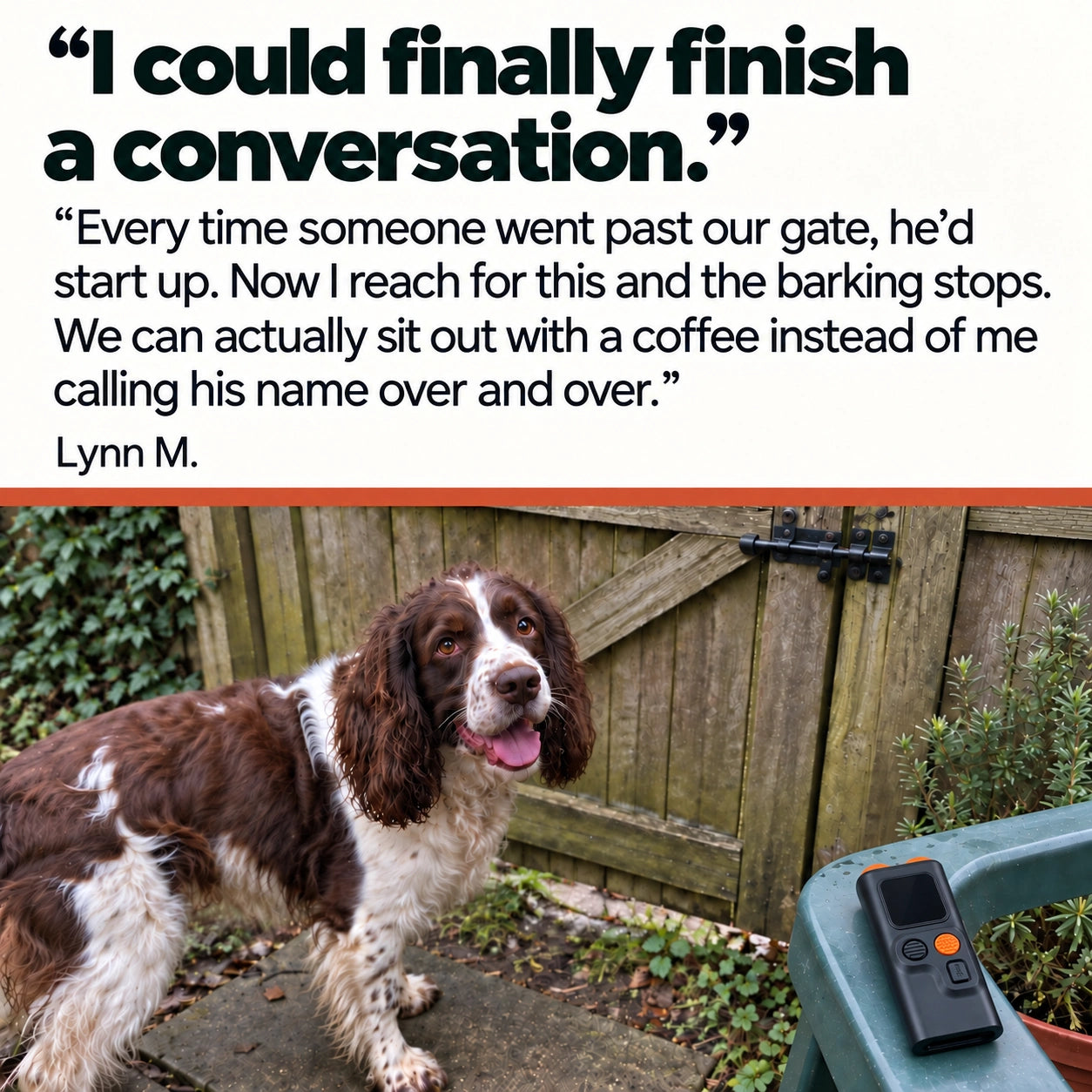 Lynn M. says: I could finally finish a conversation. Every time someone went past our gate, he'd start up. Now I reach for this and the barking stops. We can actually sit out with a coffee instead of me calling his name over and over. A spaniel by a wooden gate, with the device on a green chair.
