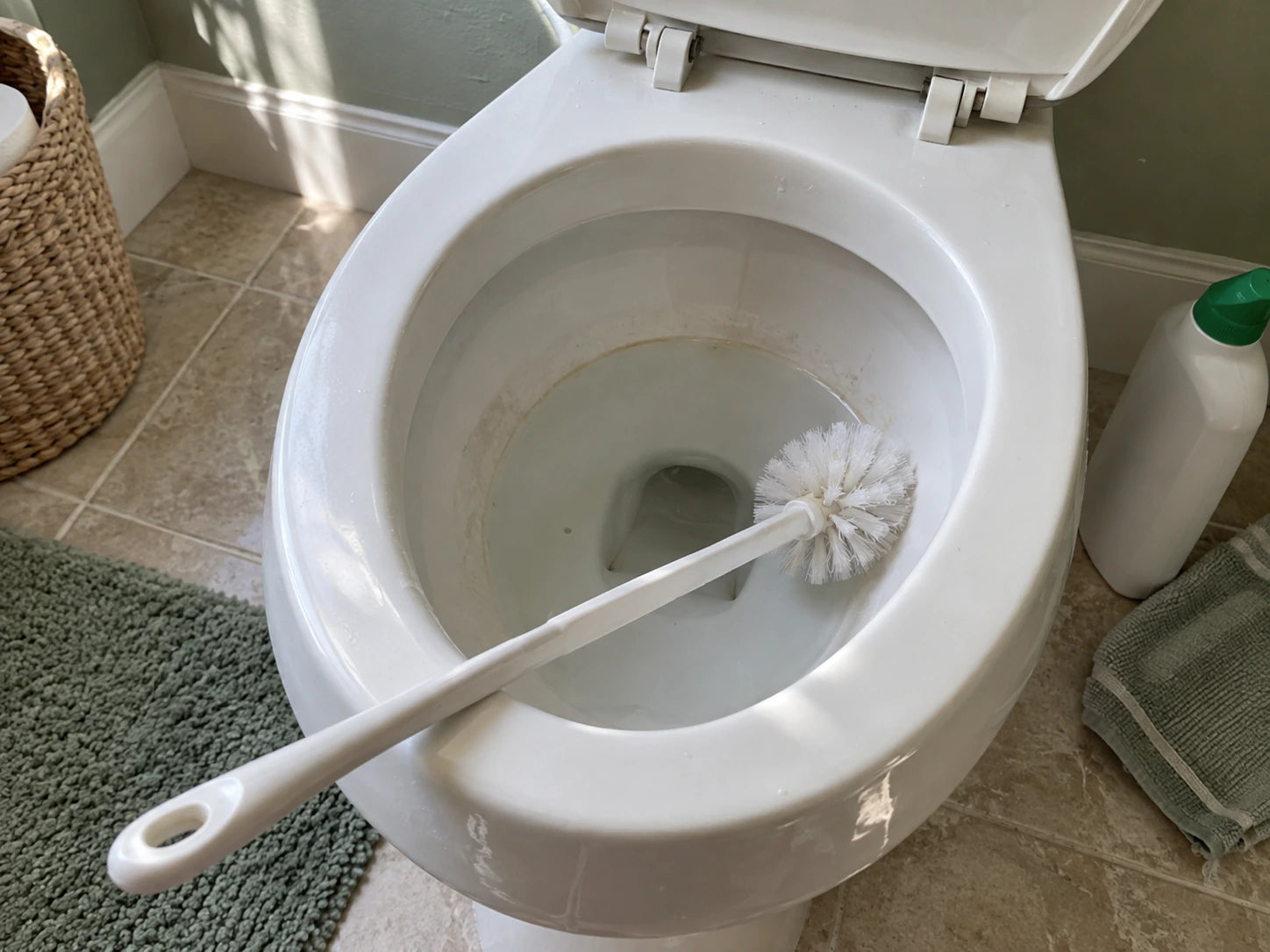A brush resting inside a toilet bowl beside everyday cleaning supplies.